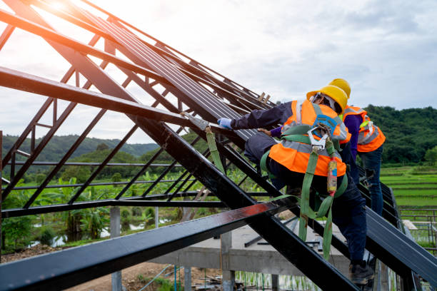 Best Residential Roofing Contractor  in Palos Hls, IL