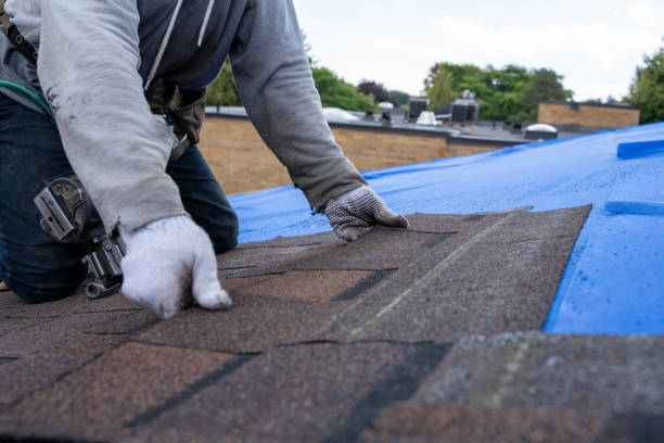 Best Commercial Roofing Services  in Palos Hls, IL